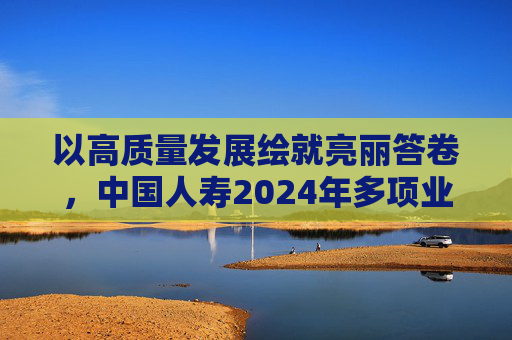 以高质量发展绘就亮丽答卷，中国人寿2024年多项业绩指标创历史最好水平