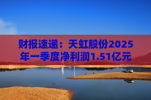 财报速递：天虹股份2025年一季度净利润1.51亿元