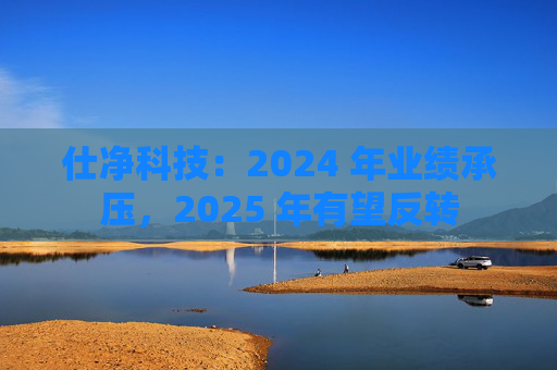 仕净科技：2024 年业绩承压，2025 年有望反转