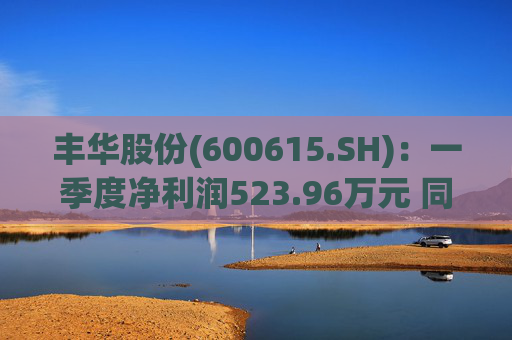 丰华股份(600615.SH)：一季度净利润523.96万元 同比增长645.11%