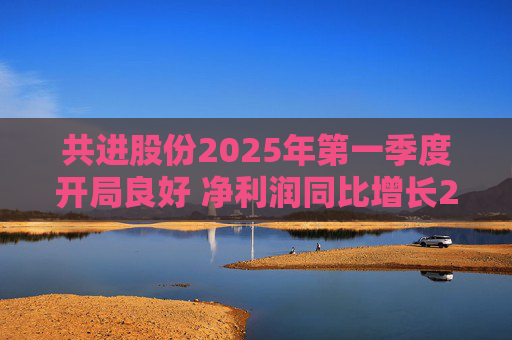 共进股份2025年第一季度开局良好 净利润同比增长267.63%