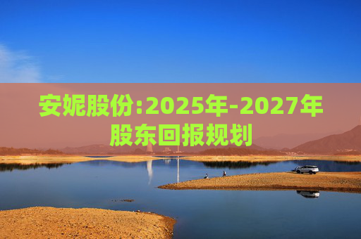 安妮股份:2025年-2027年股东回报规划  第1张