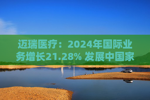 迈瑞医疗：2024年国际业务增长21.28% 发展中国家成重要增长引擎