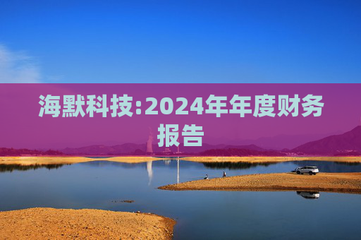 海默科技:2024年年度财务报告