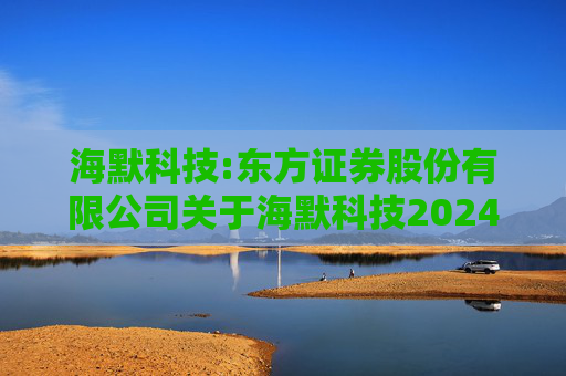 海默科技:东方证券股份有限公司关于海默科技2024年年度持续督导跟踪报告  第1张
