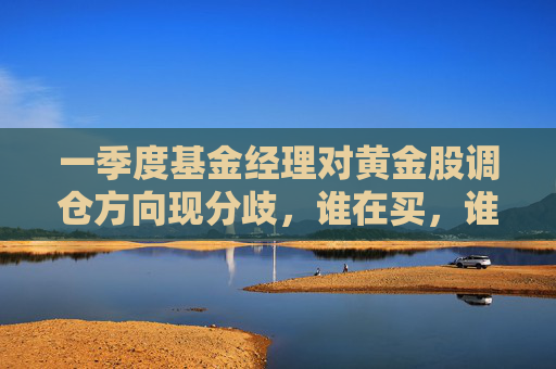 一季度基金经理对黄金股调仓方向现分歧，谁在买，谁在卖？