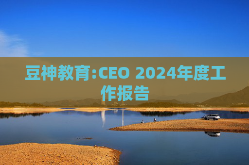 豆神教育:CEO 2024年度工作报告