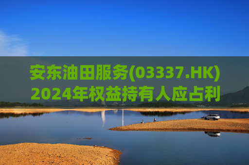 安东油田服务(03337.HK)2024年权益持有人应占利润2.43亿元 同比增长约23.5%