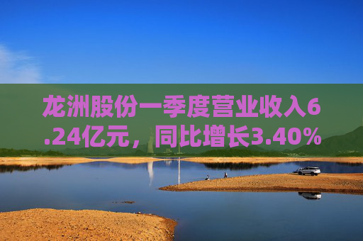 龙洲股份一季度营业收入6.24亿元，同比增长3.40%