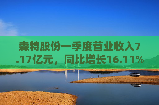 森特股份一季度营业收入7.17亿元，同比增长16.11%  第1张