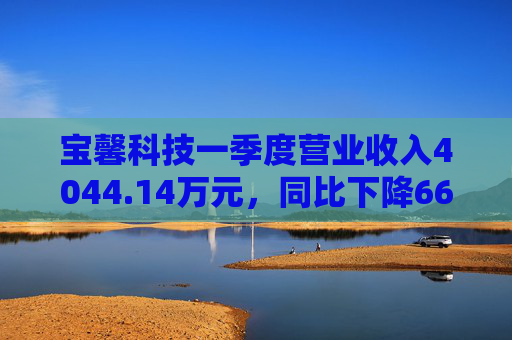 宝馨科技一季度营业收入4044.14万元，同比下降66.73%  第1张