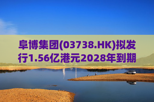 阜博集团(03738.HK)拟发行1.56亿港元2028年到期零息可换股债券  第1张
