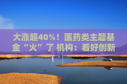 大涨超40%！医药类主题基金“火”了 机构：看好创新药投资机会
