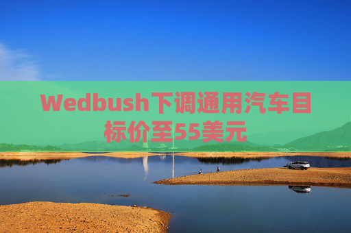 Wedbush下调通用汽车目标价至55美元