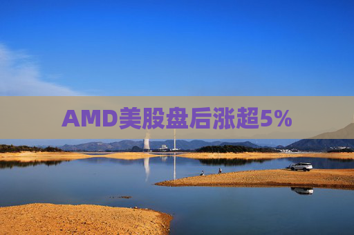 AMD美股盘后涨超5%