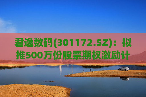 君逸数码(301172.SZ)：拟推500万份股票期权激励计划