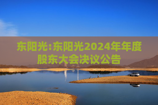 东阳光:东阳光2024年年度股东大会决议公告