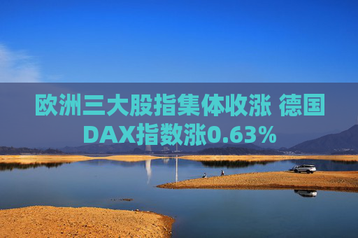 欧洲三大股指集体收涨 德国DAX指数涨0.63%
