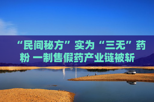 “民间秘方”实为“三无”药粉 一制售假药产业链被斩断  第1张