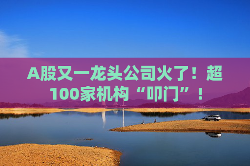 A股又一龙头公司火了！超100家机构“叩门”！  第1张