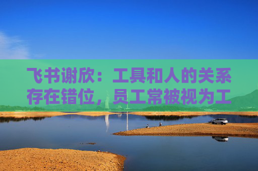 飞书谢欣：工具和人的关系存在错位，员工常被视为工具的附属