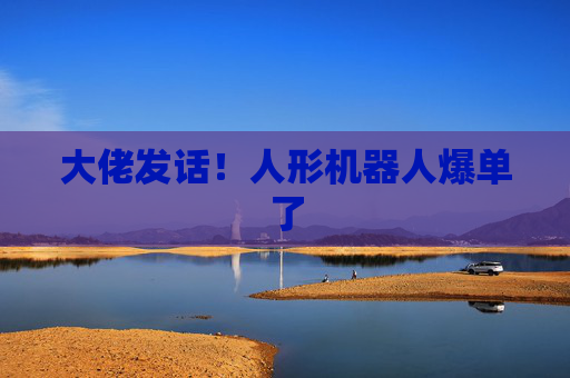 大佬发话！人形机器人爆单了