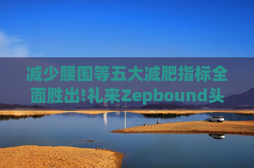 减少腰围等五大减肥指标全面胜出!礼来Zepbound头对头试验碾压诺和诺德(NVO.US)Wegovy  第1张