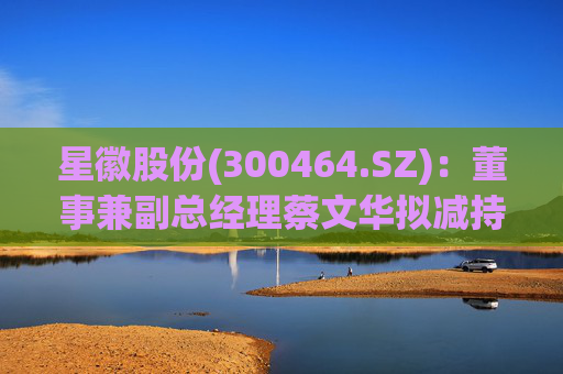星徽股份(300464.SZ)：董事兼副总经理蔡文华拟减持20.25万股