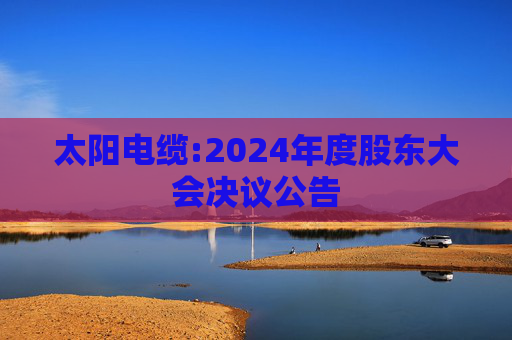 太阳电缆:2024年度股东大会决议公告