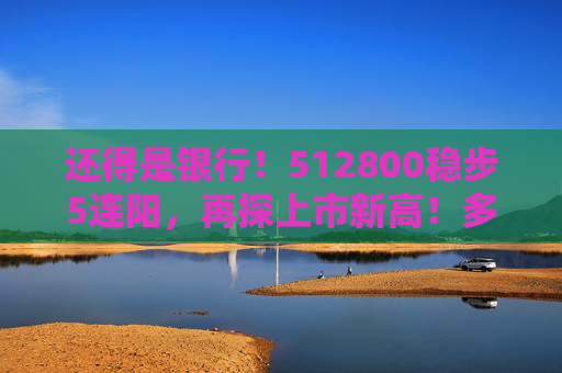 还得是银行！512800稳步5连阳，再探上市新高！多股续创历史，险资持续“爆买”