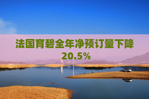 法国育碧全年净预订量下降 20.5%