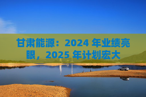 甘肃能源：2024 年业绩亮眼，2025 年计划宏大