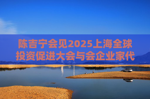 陈吉宁会见2025上海全球投资促进大会与会企业家代表