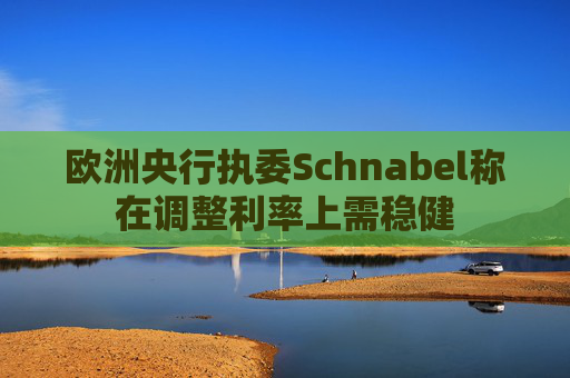欧洲央行执委Schnabel称在调整利率上需稳健