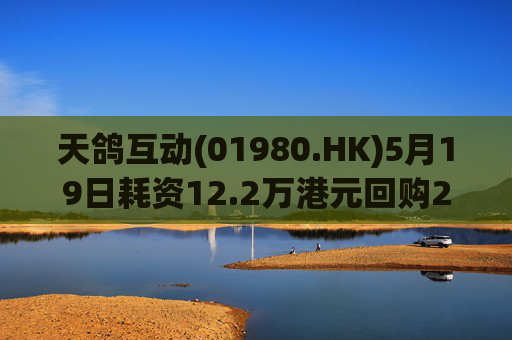 天鸽互动(01980.HK)5月19日耗资12.2万港元回购20万股