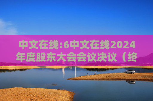 中文在线:6中文在线2024年度股东大会会议决议（终版）  第1张