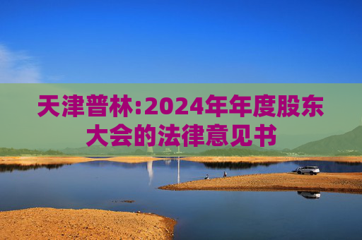 天津普林:2024年年度股东大会的法律意见书