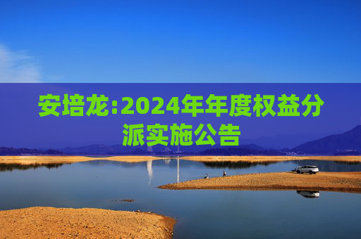 安培龙:2024年年度权益分派实施公告