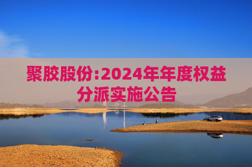聚胶股份:2024年年度权益分派实施公告  第1张