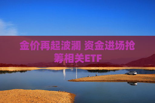金价再起波澜 资金进场抢筹相关ETF  第1张