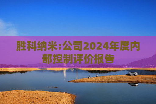 胜科纳米:公司2024年度内部控制评价报告  第1张