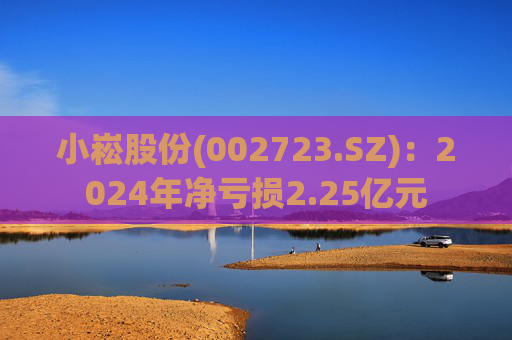 小崧股份(002723.SZ)：2024年净亏损2.25亿元  第1张