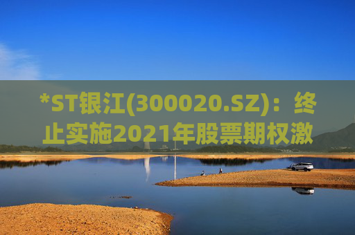 *ST银江(300020.SZ)：终止实施2021年股票期权激励计划及2023年限制性股票激励计划