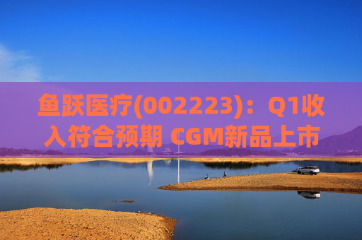 鱼跃医疗(002223)：Q1收入符合预期 CGM新品上市丰富增长动能