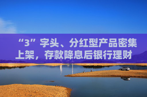 “3”字头、分红型产品密集上架，存款降息后银行理财花式“抢钱”，31万亿市场短期或仍扩容  第1张