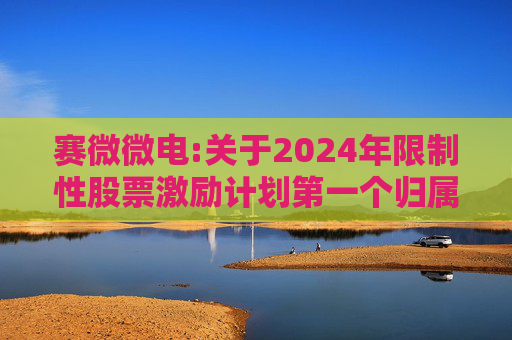 赛微微电:关于2024年限制性股票激励计划第一个归属期归属条件成就的公告