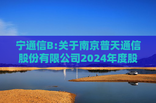 宁通信B:关于南京普天通信股份有限公司2024年度股东大会的法律意见书  第1张