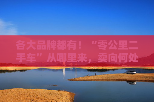 各大品牌都有！“零公里二手车”从哪里来，卖向何处，影响有多大？