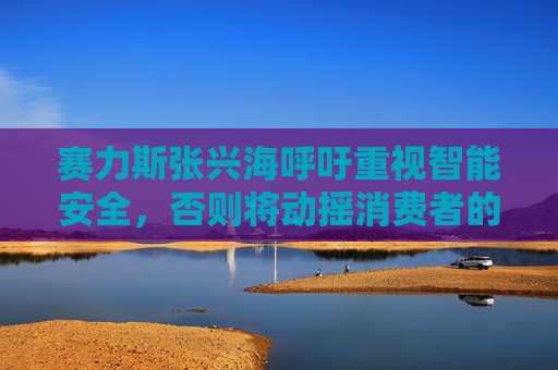 赛力斯张兴海呼吁重视智能安全，否则将动摇消费者的信心