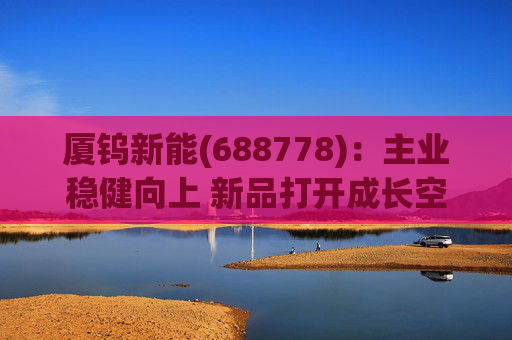 厦钨新能(688778)：主业稳健向上 新品打开成长空间